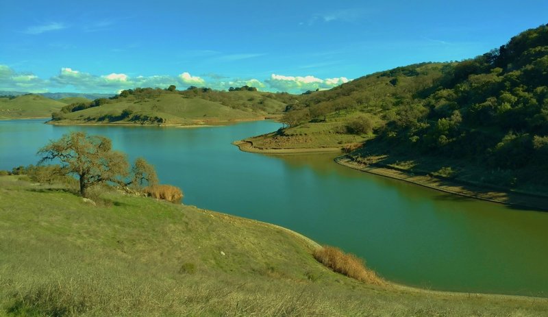 Calero Reservoir from Cottle Trail.