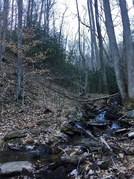 Small waterfall along Presley Cove trail