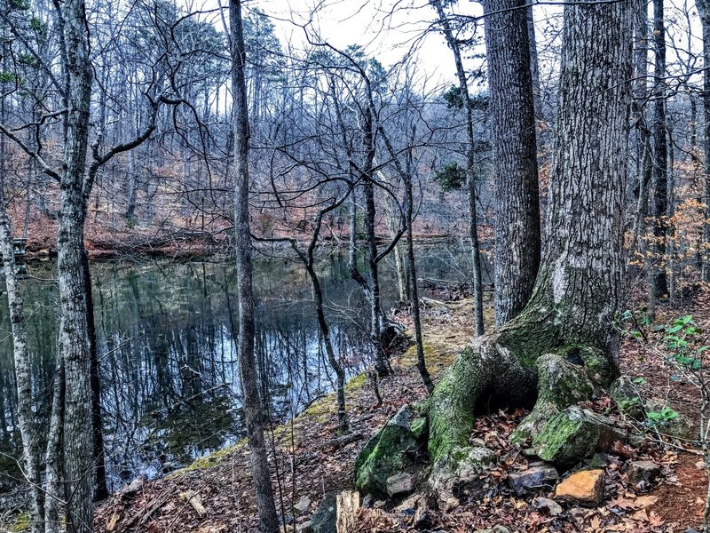 Calm waters at the end of the lake