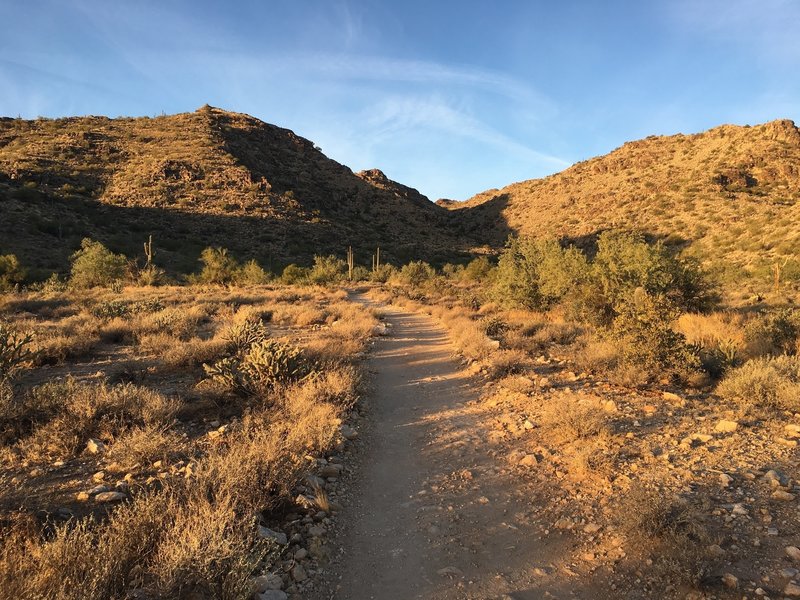 Beginning the hike up the canyon.