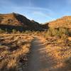 Beginning the hike up the canyon.