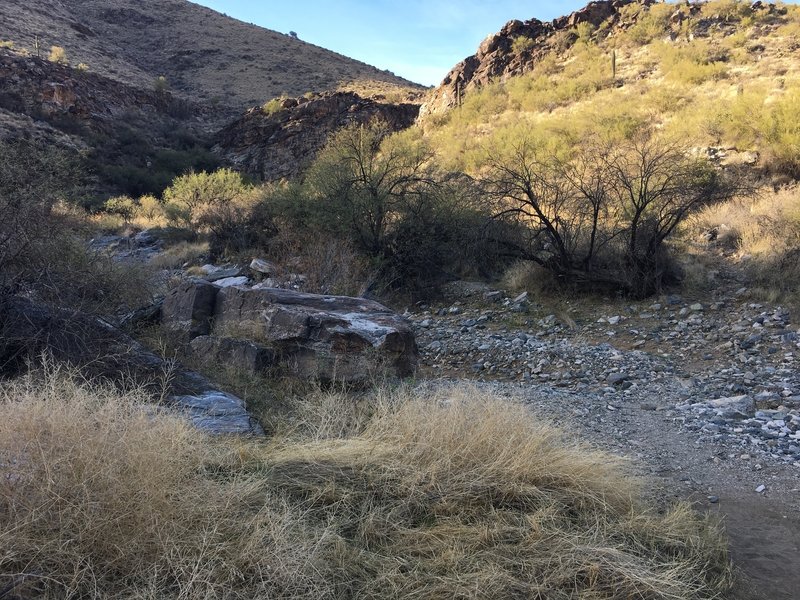 The bottom of Willow Canyon. This rock makes a good resting spot!