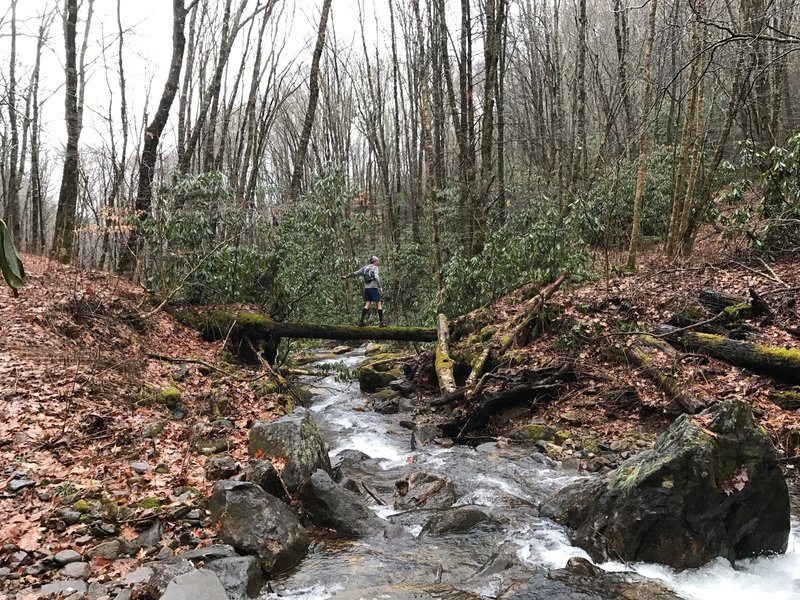 Creek Crossing Mile 8.5