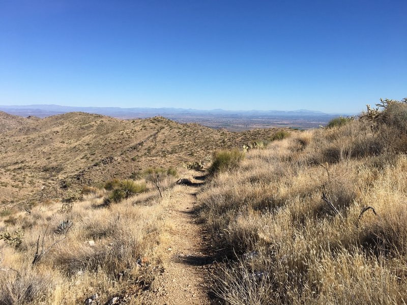 The well maintained singletrack trail