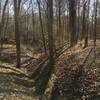 Looking down ravine between two mounds