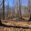 Stone Circle on the trail