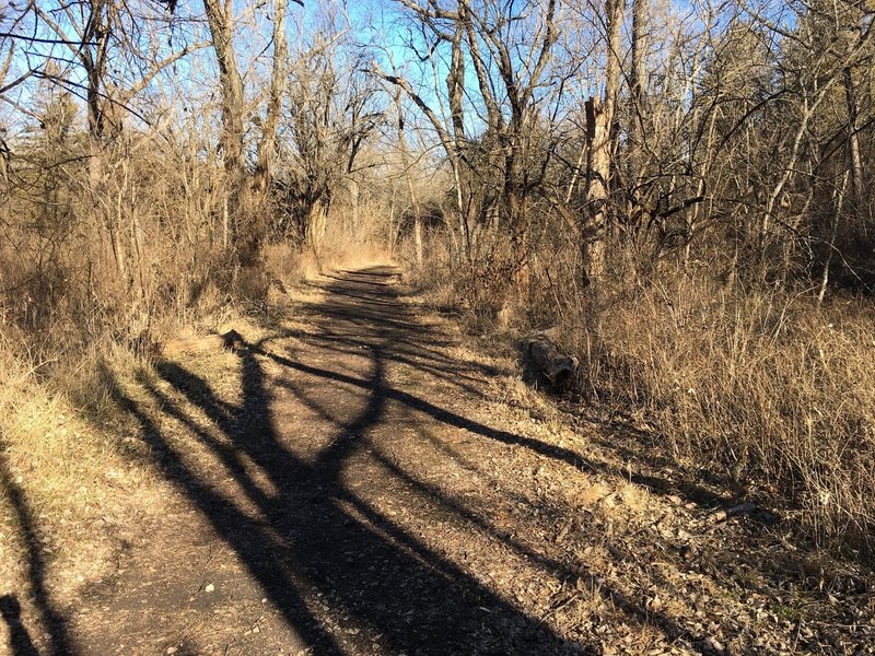 A section of the dirt path area of the trail system.