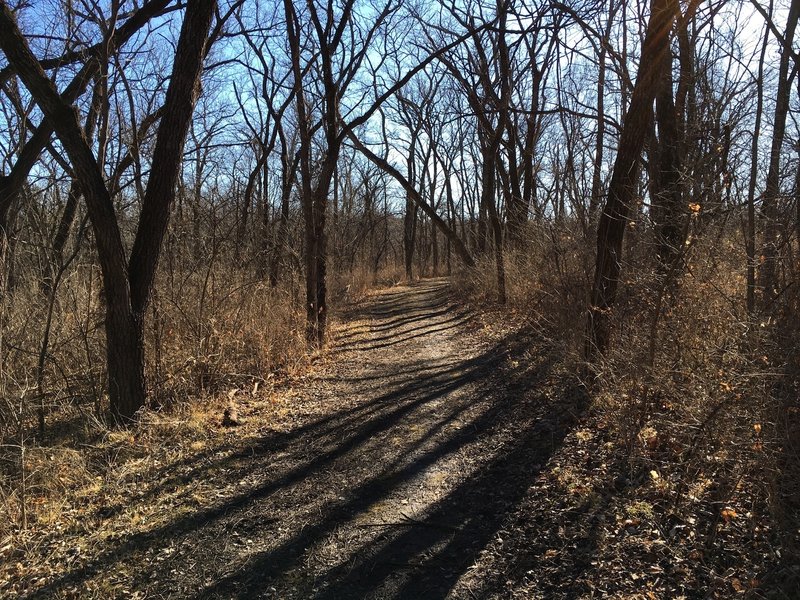 A nice section of the dirt path trails.