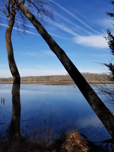 View of the water towards the end of the trail.