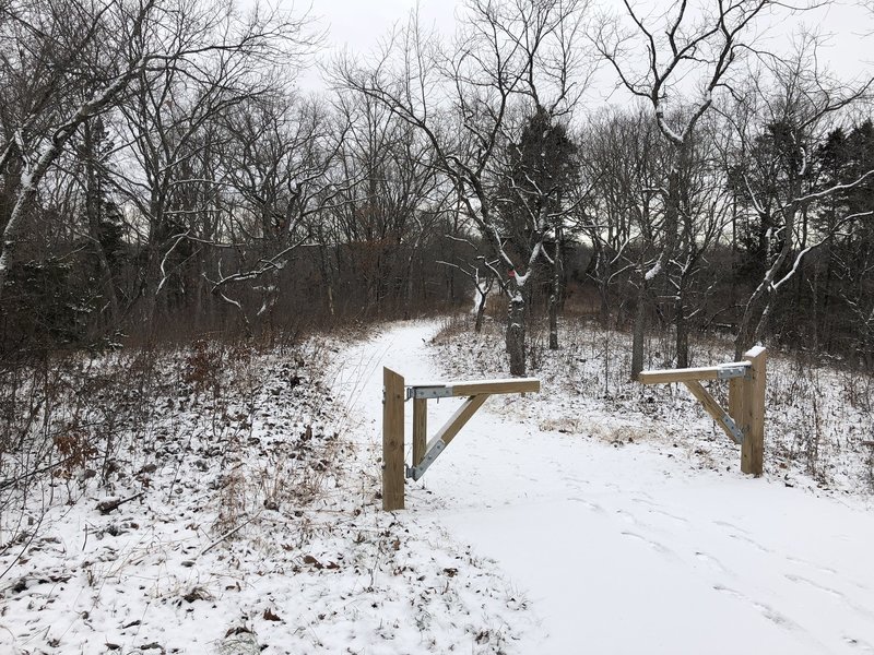 Singletrack starts here after a half mile of paved trail