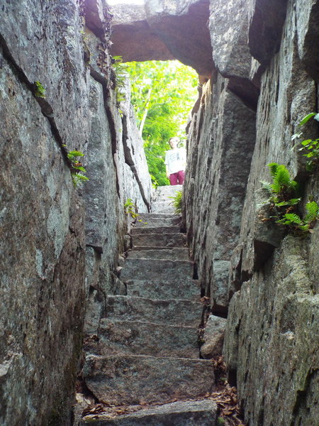 The Passage - Homans Trail - Acadia National Park