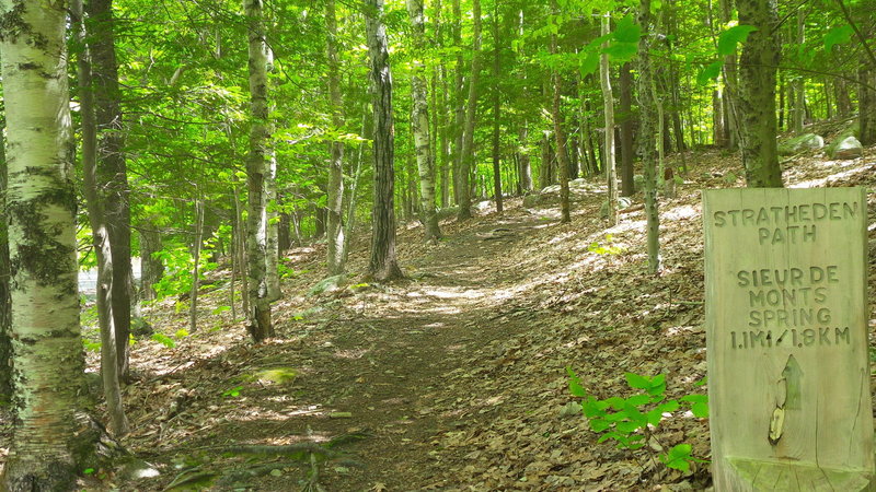 Stratheden Path Trailhead - Acadia National Park