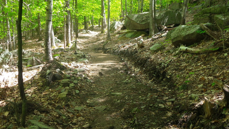 Stratheden Path - Acadia National Park