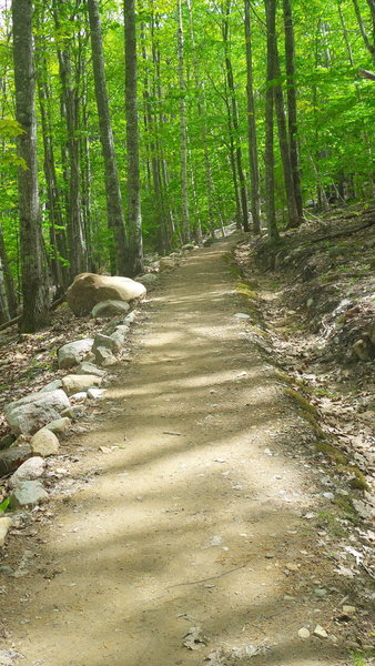 Stratheden Path - Acadia National Park