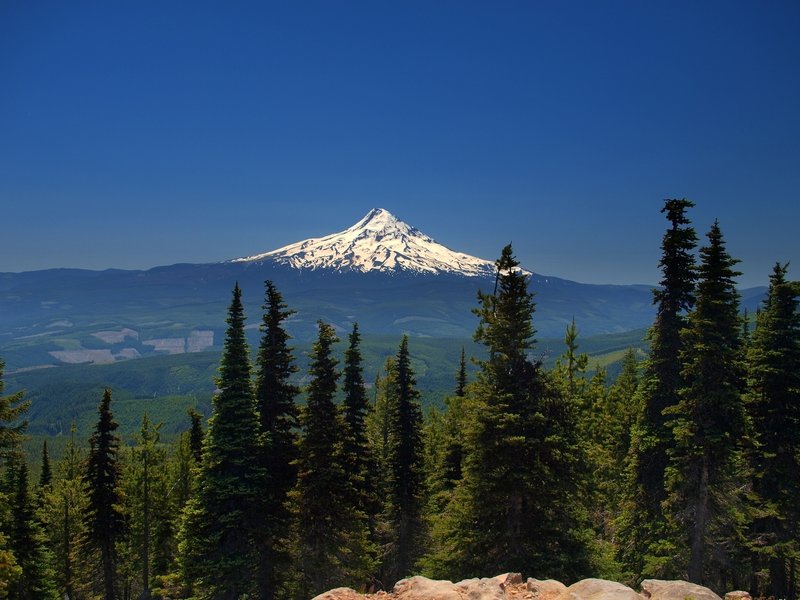 Mount Hood from the summit of Mount Defiance