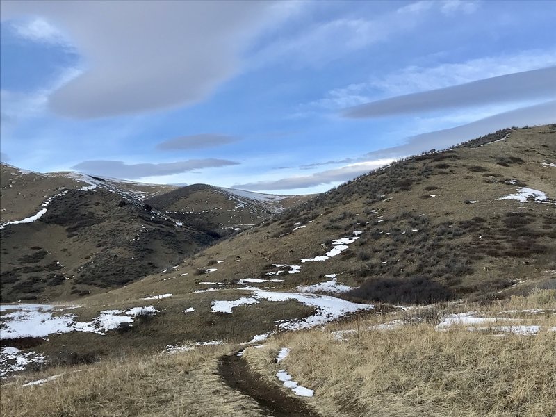 Looking back at the deer on the hill