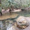 Tibbs Run at one of two stream crossings on Tibbs Crossing Loop