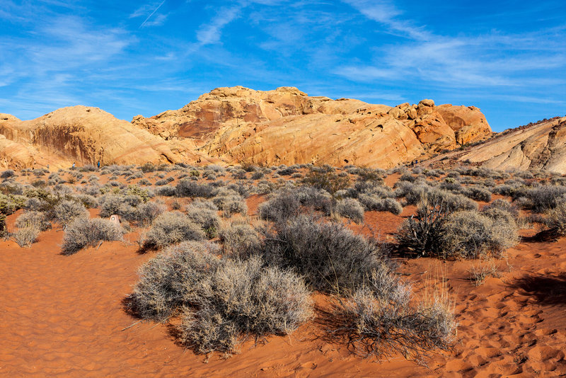 Open desert surrounded by red and beige sandstone hills.