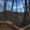 View from Bennett Gap/Coontree Loop Trail.