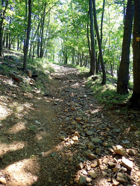 Yellow trail climb to top of High Mountain