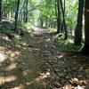 Yellow trail climb to top of High Mountain