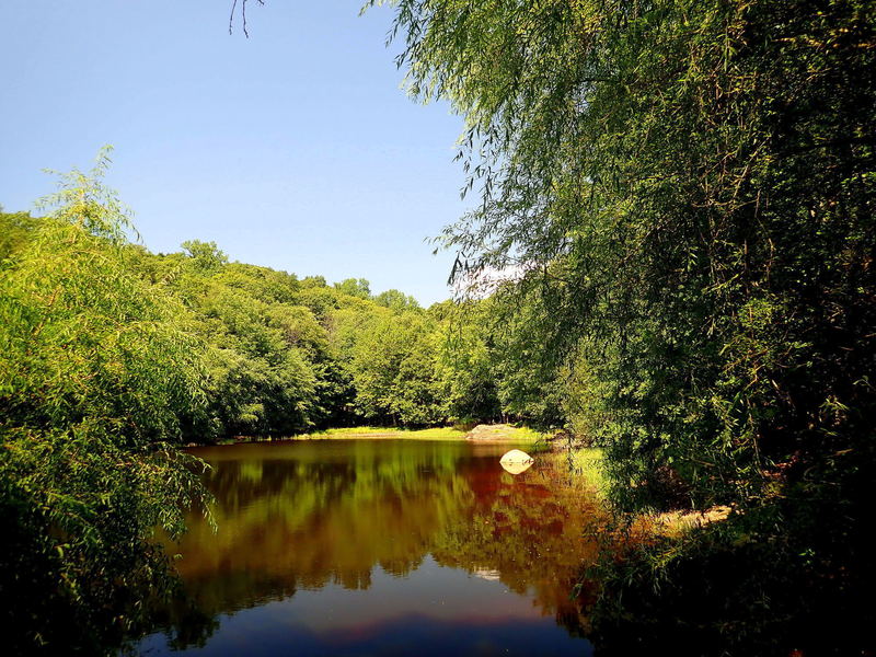 Ancient's Pond off White Trail