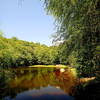 Ancient's Pond off White Trail