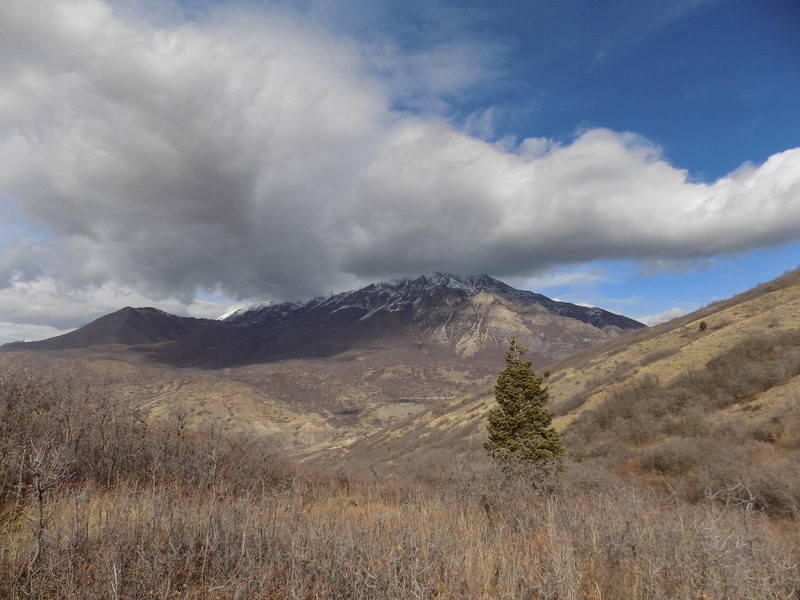 View from trail