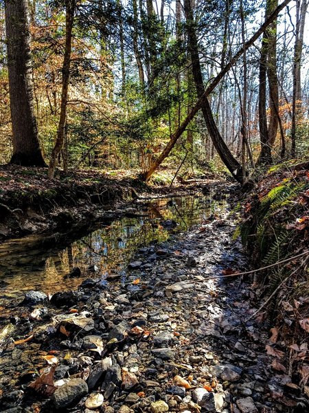 North Prong of Hannah's Creek