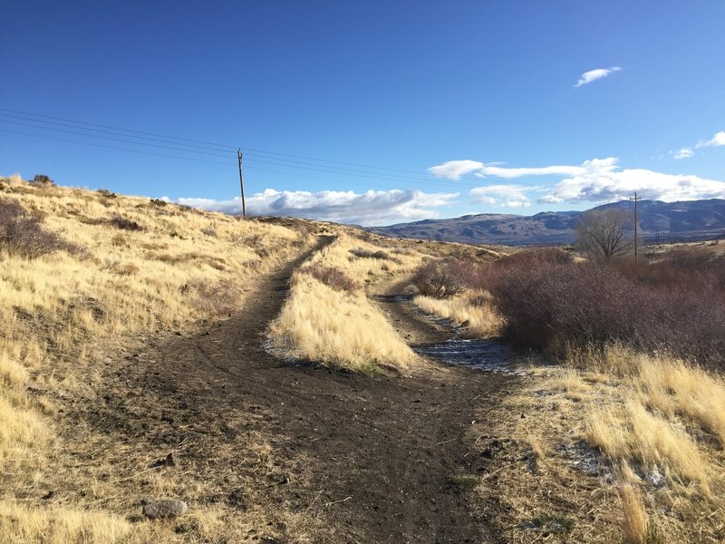 Sharp bend in the Upper Loop trail. Continuing west up the trail takes you up onto the Ballardini Ranch Spur