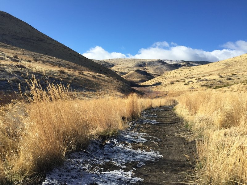 Beautiful views of the as you head up and west into the foothills of the Carson Range