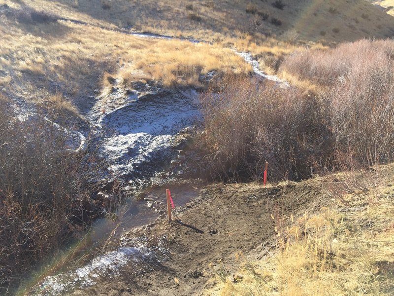 The creek is rather small but the banks on either side are steep and can be muddy