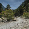 The best time to visit the Samaria Gorge is just after it opens in May when the flowers are plentiful and in bloom, the temperature is still moderate, and the tourists are few