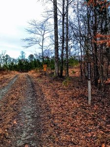 Start of the George Road Trail