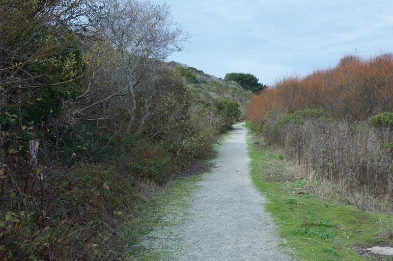 The trail is gravel as it makes its way below the bluff. Birds can be seen flying among the bushes in this corridor.