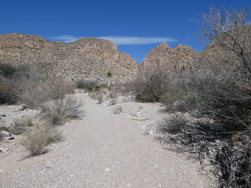 Looking north at the intersection with the Ore Terminal Trail.