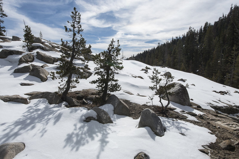 February 2018 Chiquito Creek Trail coming south