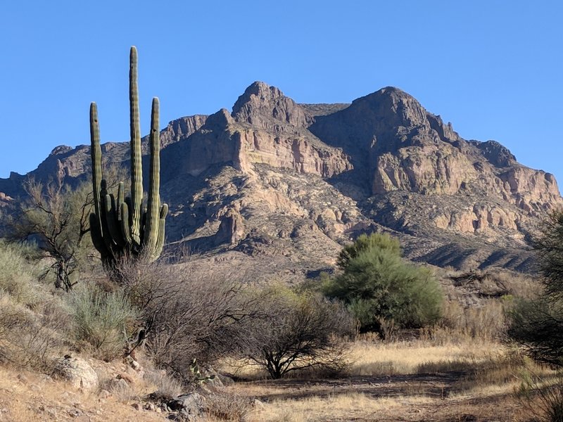 Picketpost mountain