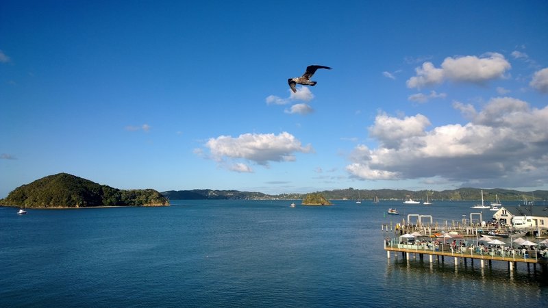 Paihia