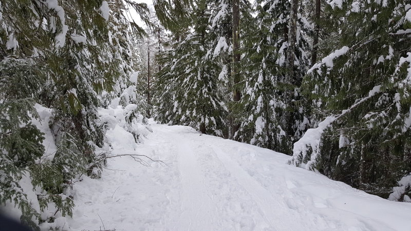 Looking back on the trail....