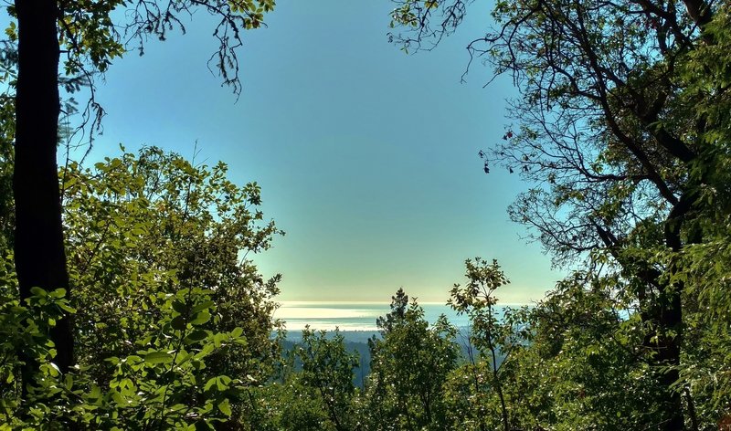 The Pacific Ocean can be seen through a break in the trees along Ridge Trail