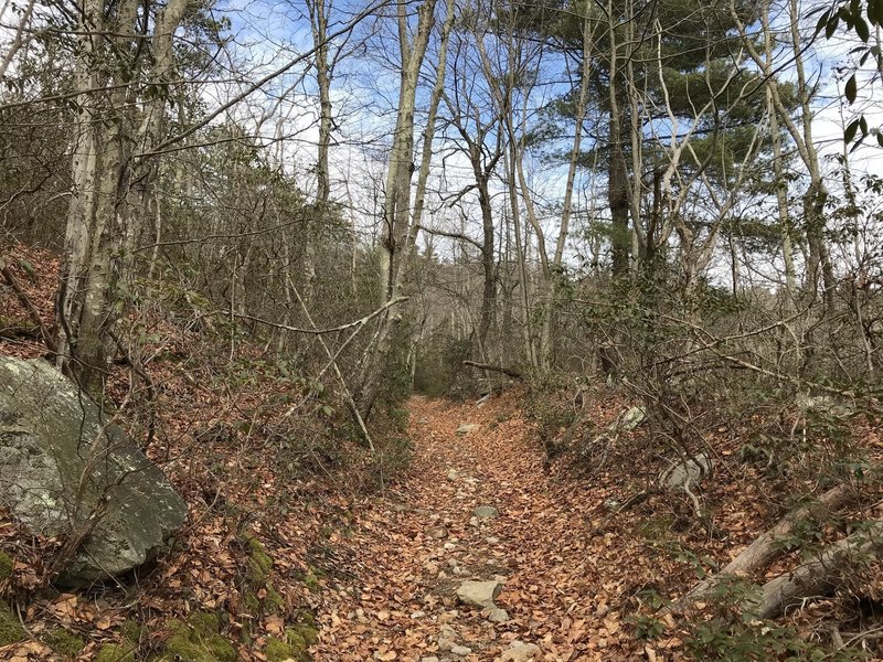 The Laurel Run Trail is scenic, even in the dead of winter