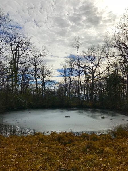 You'll pass this pond on your left at approximately 2900'.