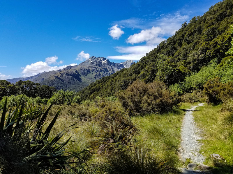 Routeburn Track