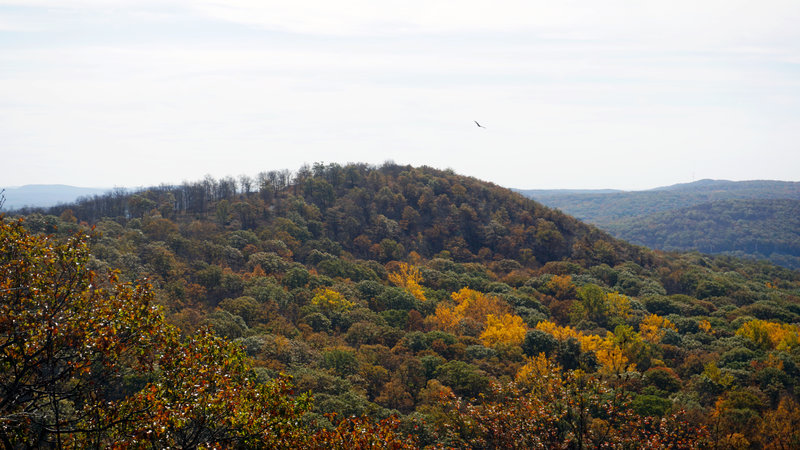 View of Ramapo Torne from Torne View.