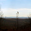 Manhattan skyline from Ramapo Torne!