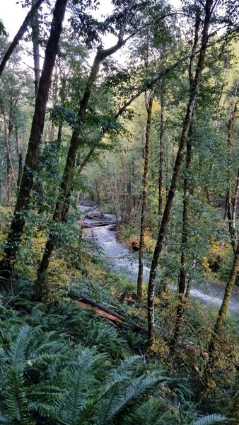 Creek along the trail.