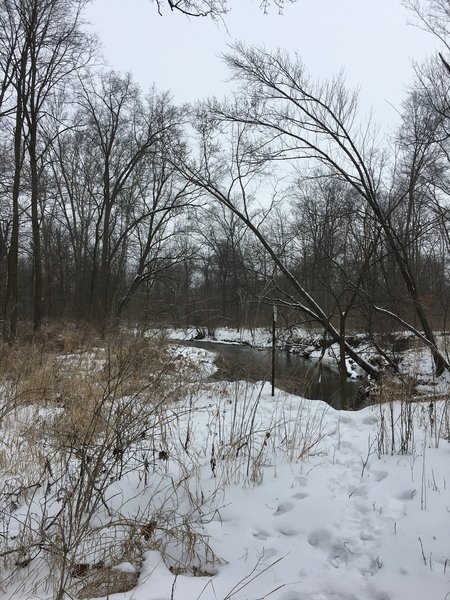 View of Cedar Creek