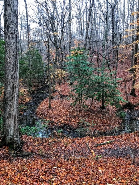 Bend in the creek with a campsite