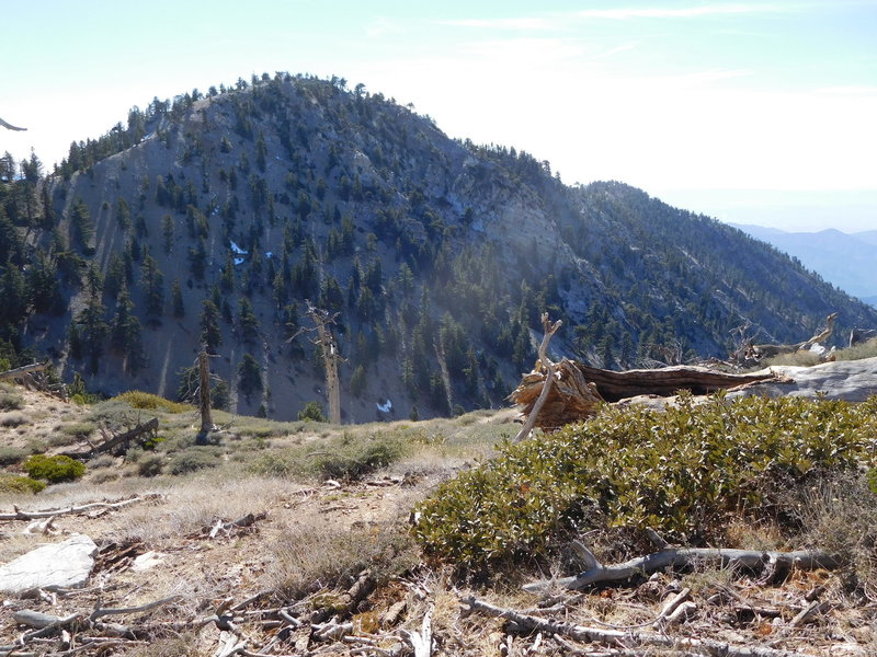 Middle Hawkins Peak